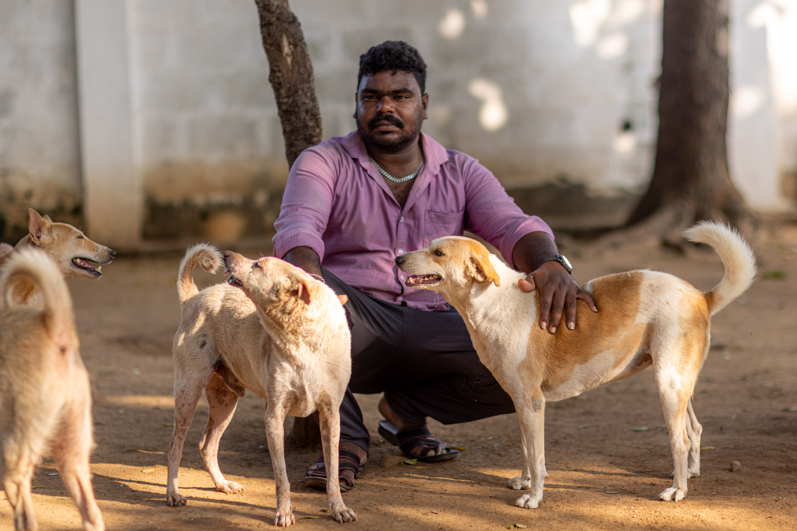 20240121161311 R5D 3985