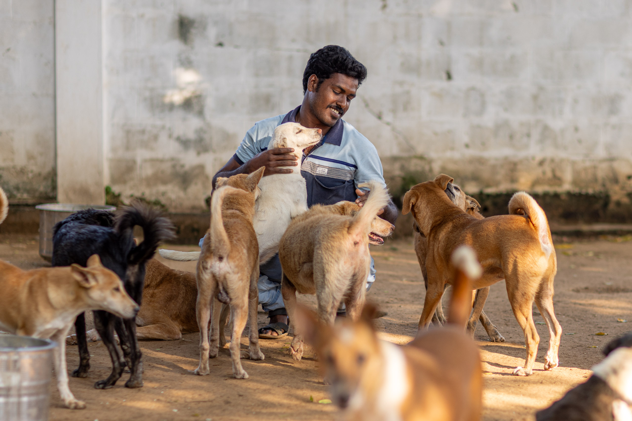 20240121161409 R5D 4024