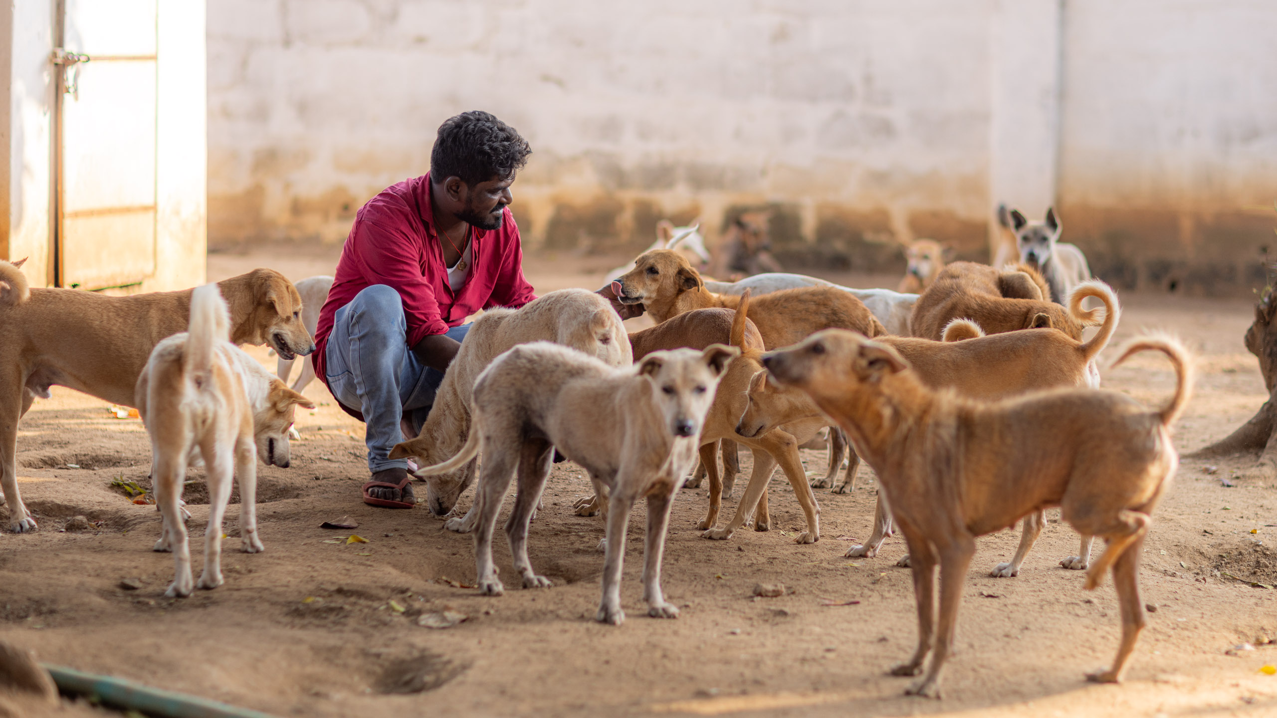 20240121161642 R5D 4103