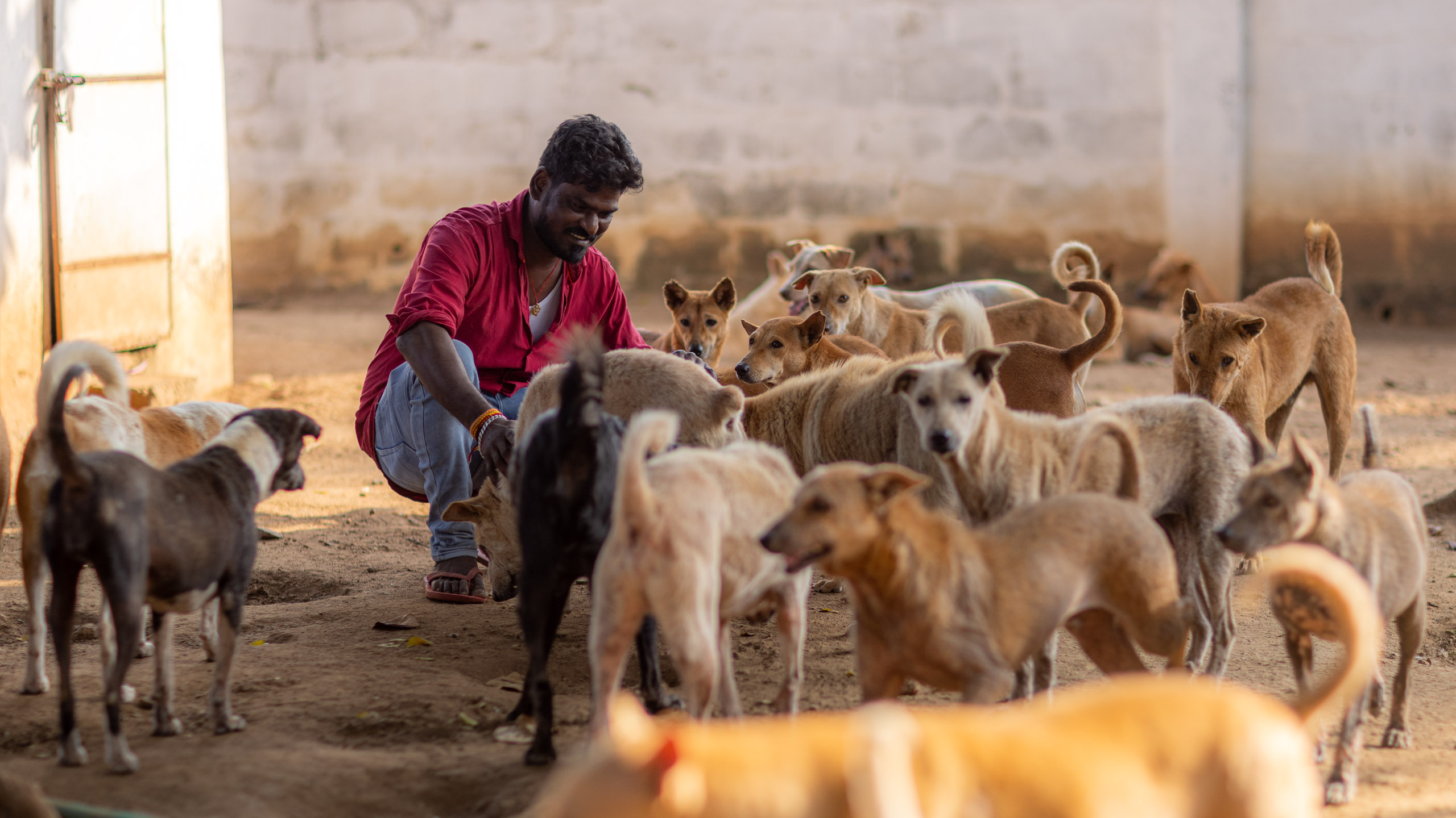 20240121161706 R5D 4127