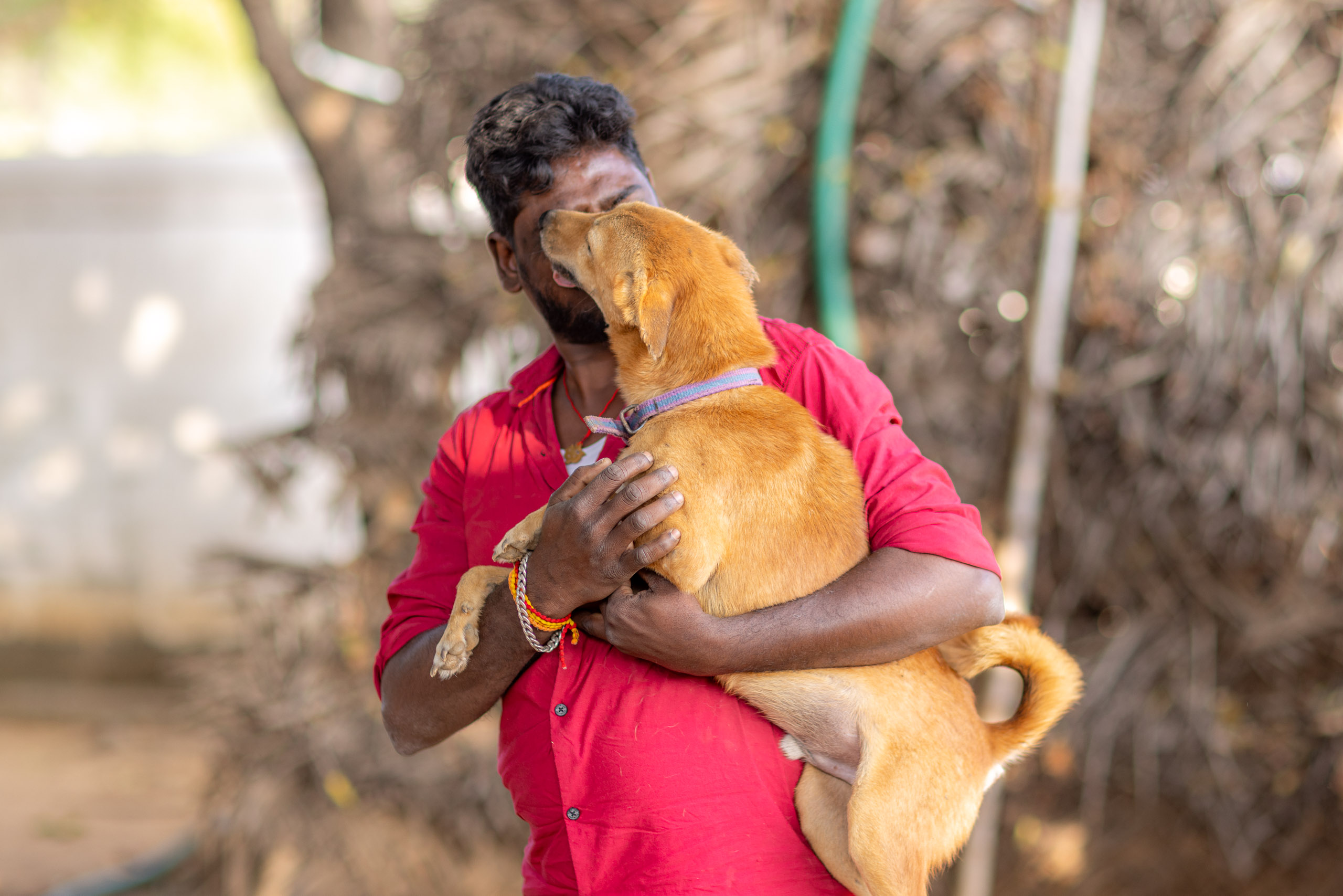 20240121161800 R5D 4146