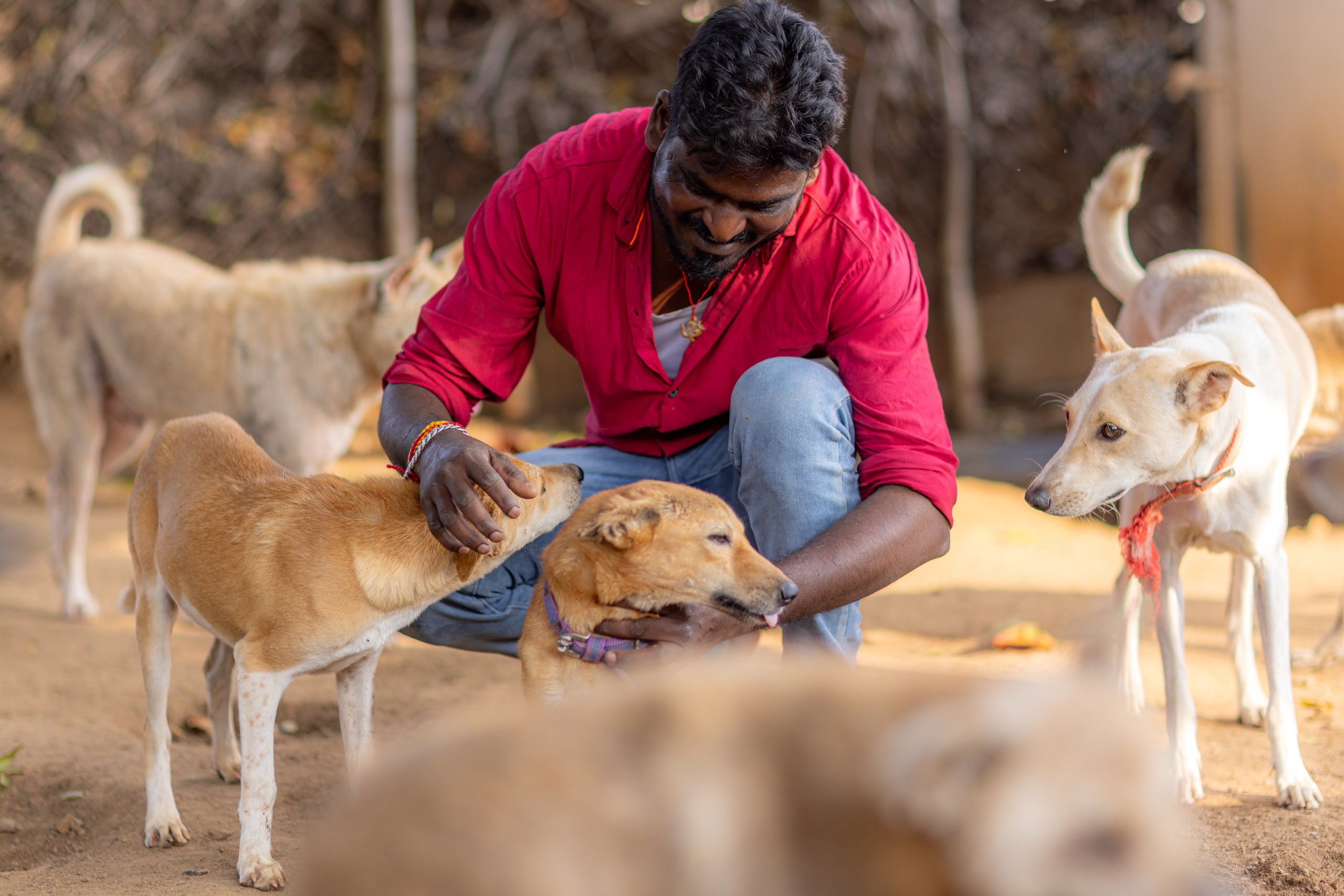 20240121161834 R5D 4165