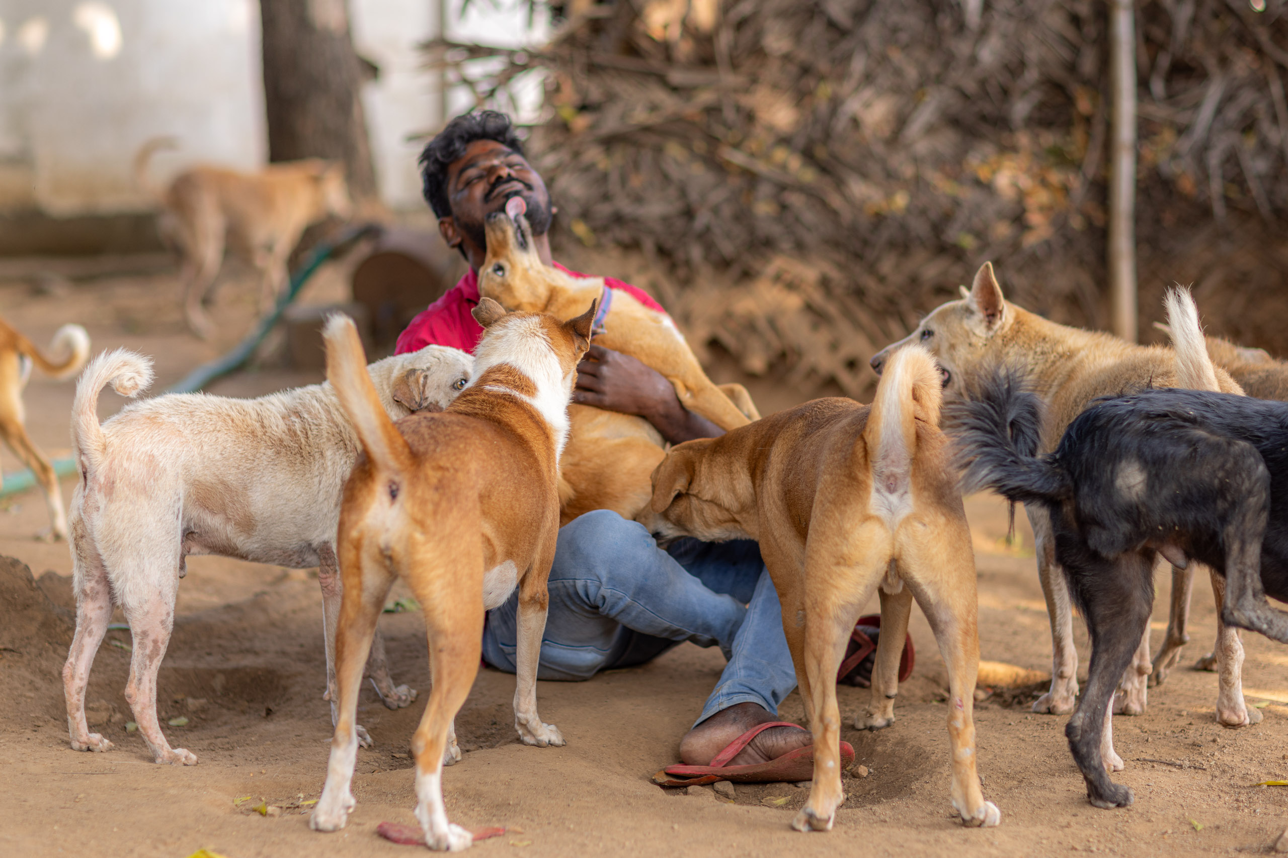 20240121161931 R5D 4197