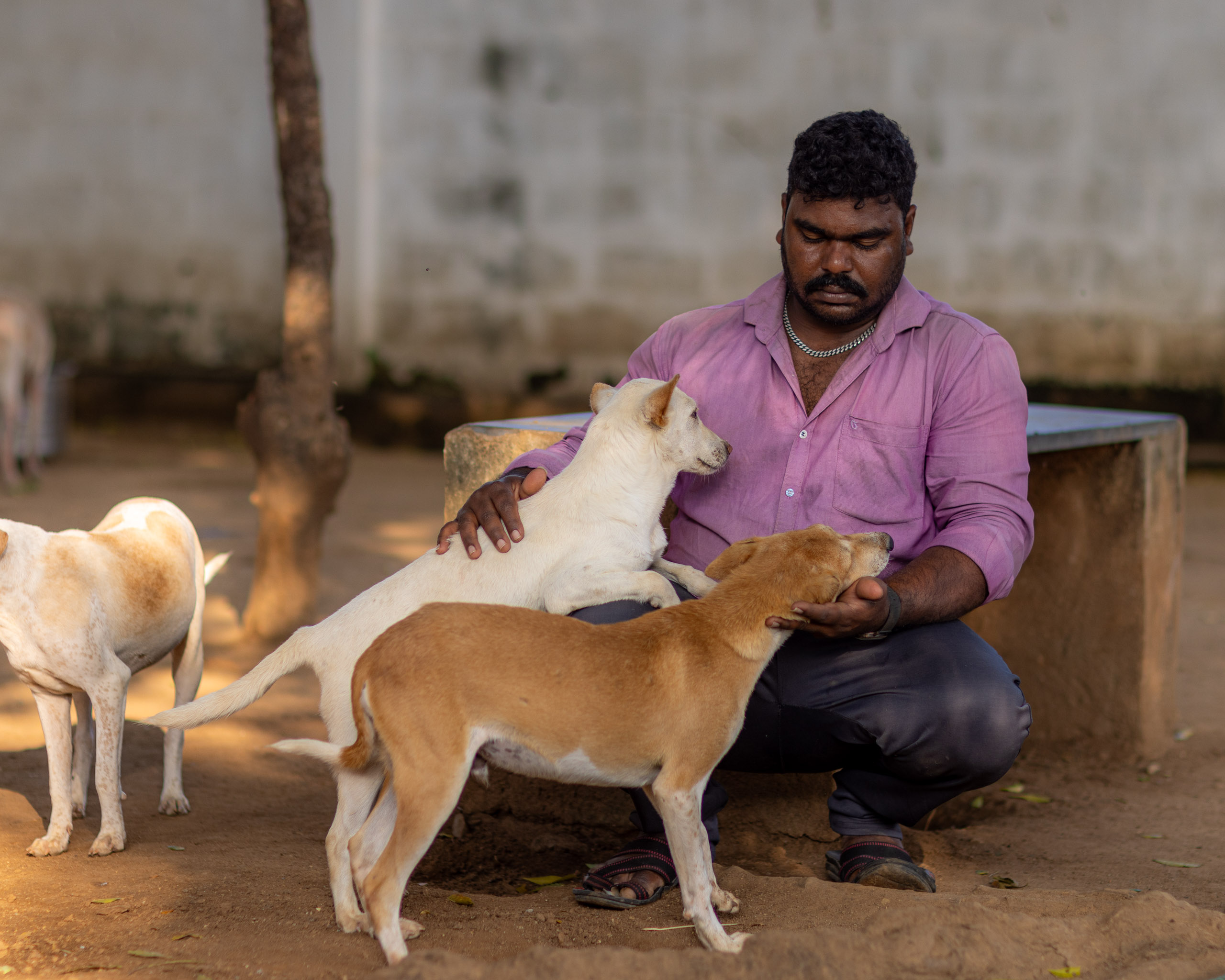 20240121162037 R5D 4256