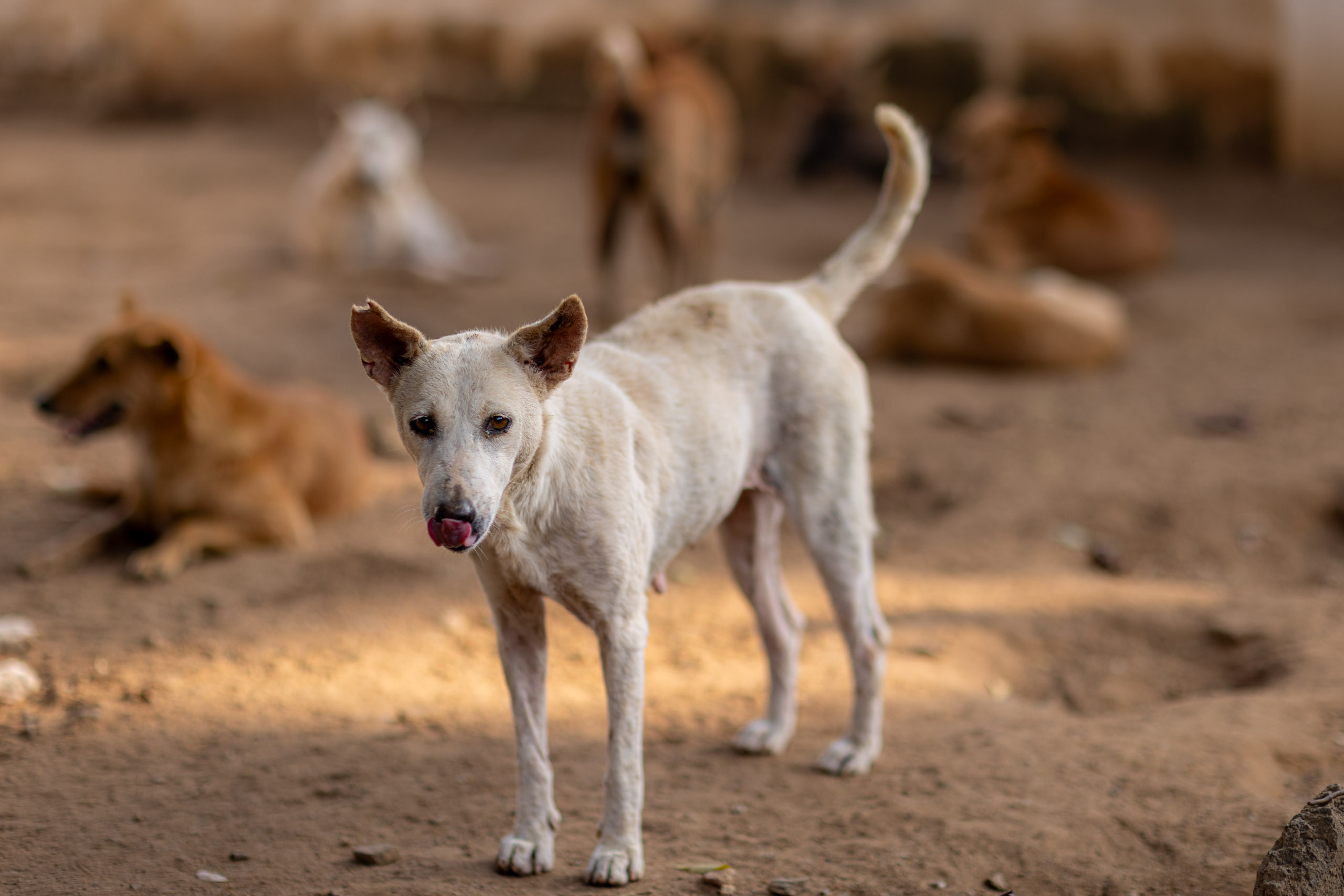 20240121162108 R5D 4277