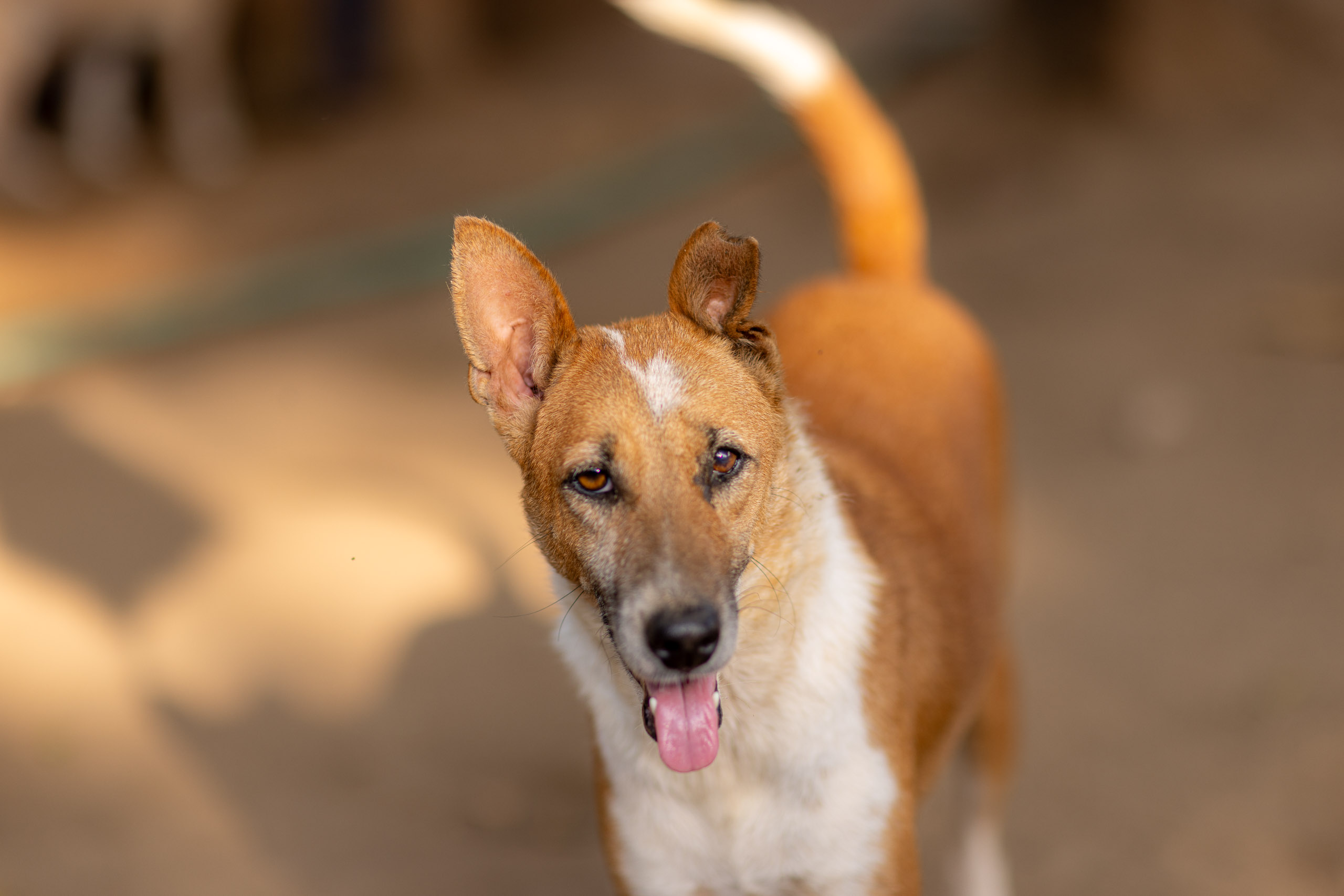 20240121162154 R5D 4313