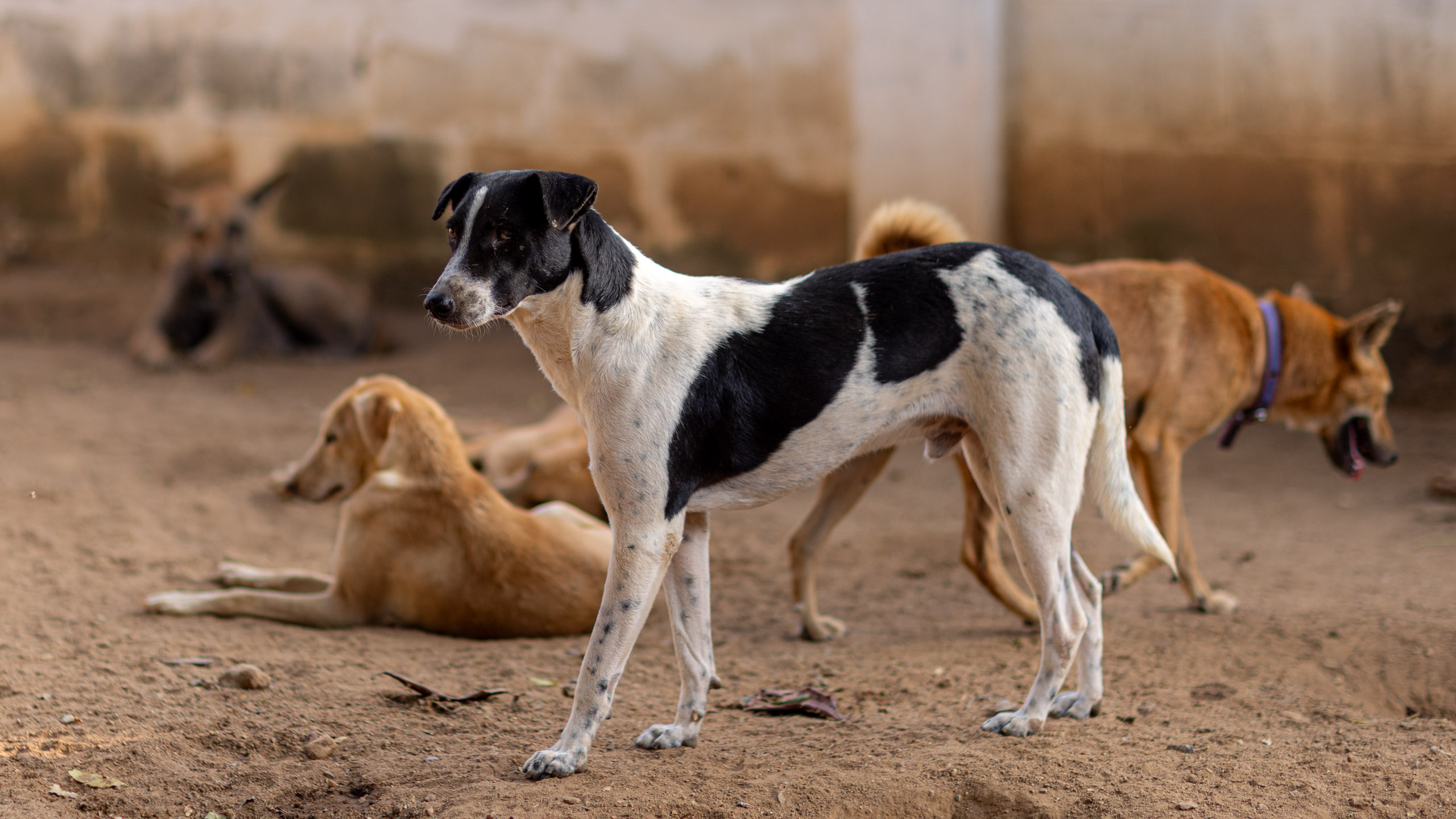 20240121162241 R5D 4353