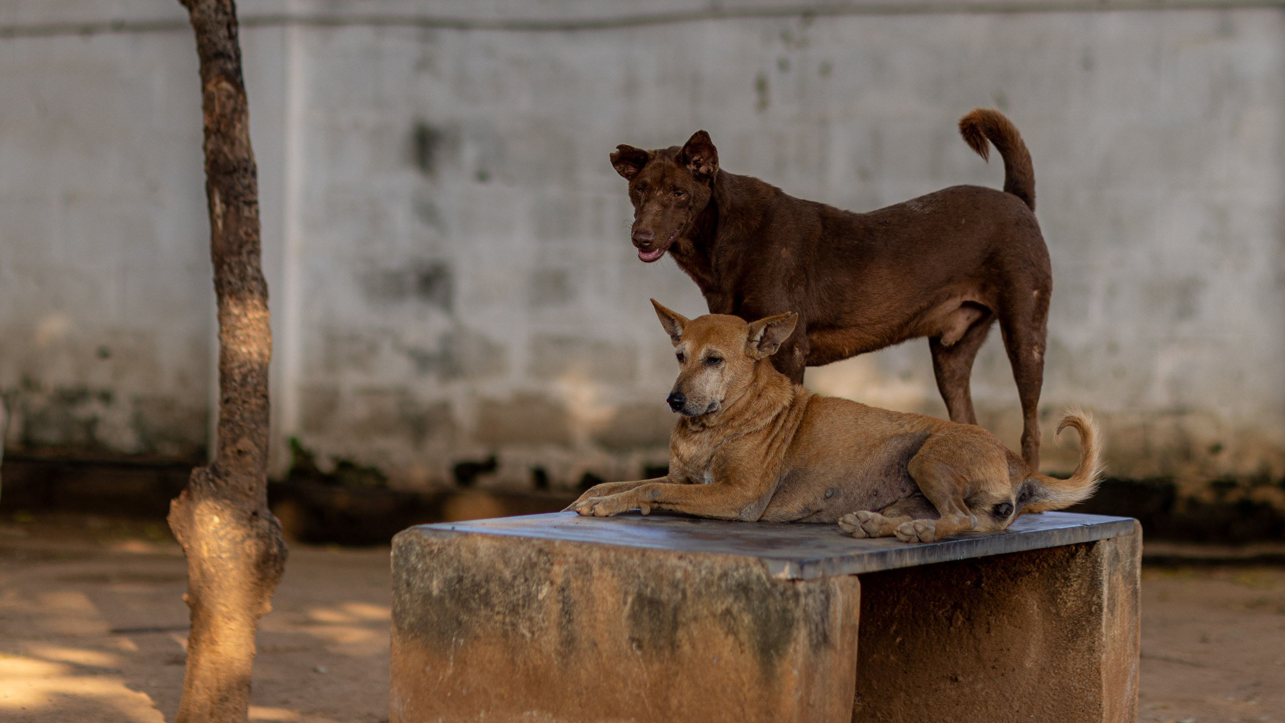 20240121162310 R5D 4367