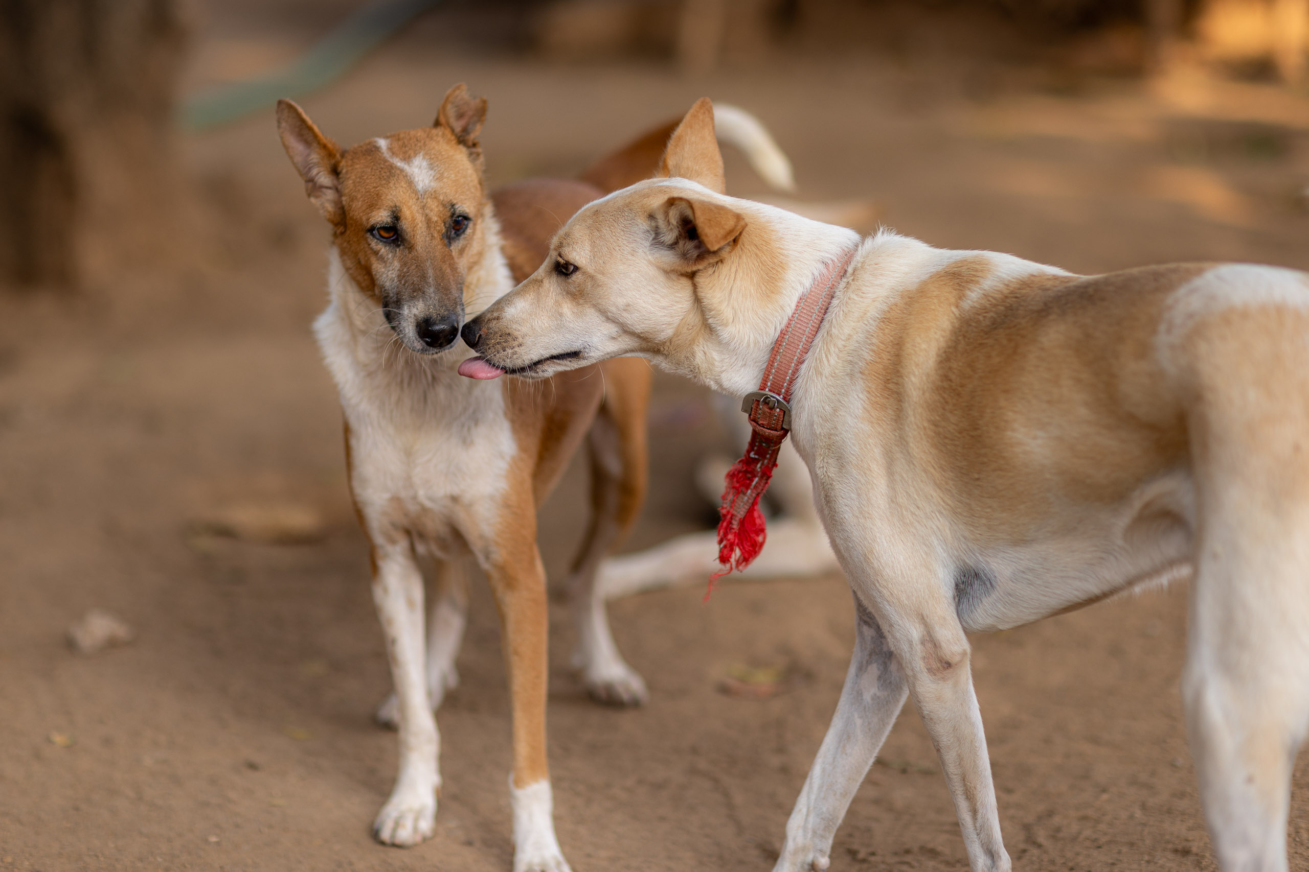 20240121162329 R5D 4370