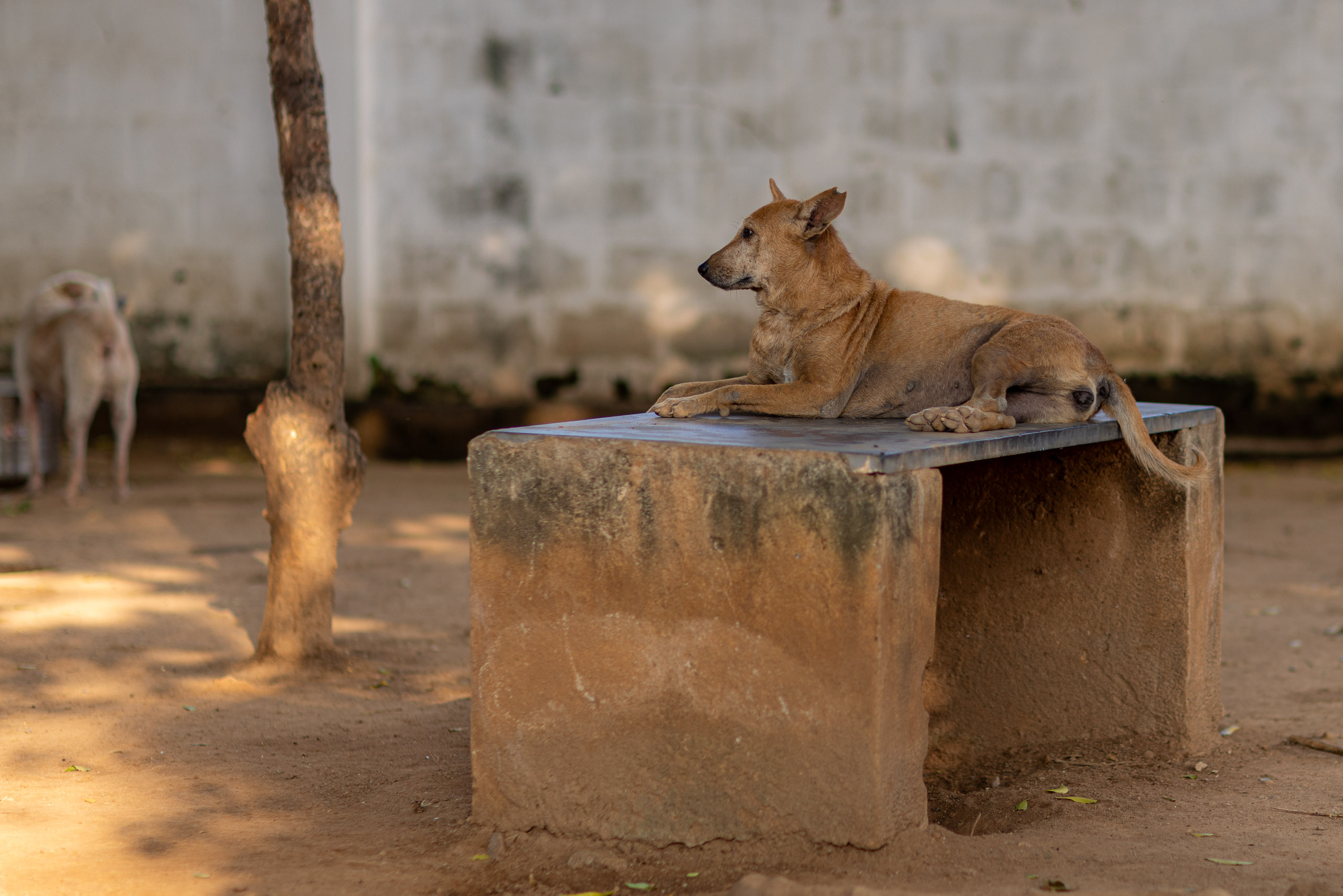 20240121162349 R5D 4373