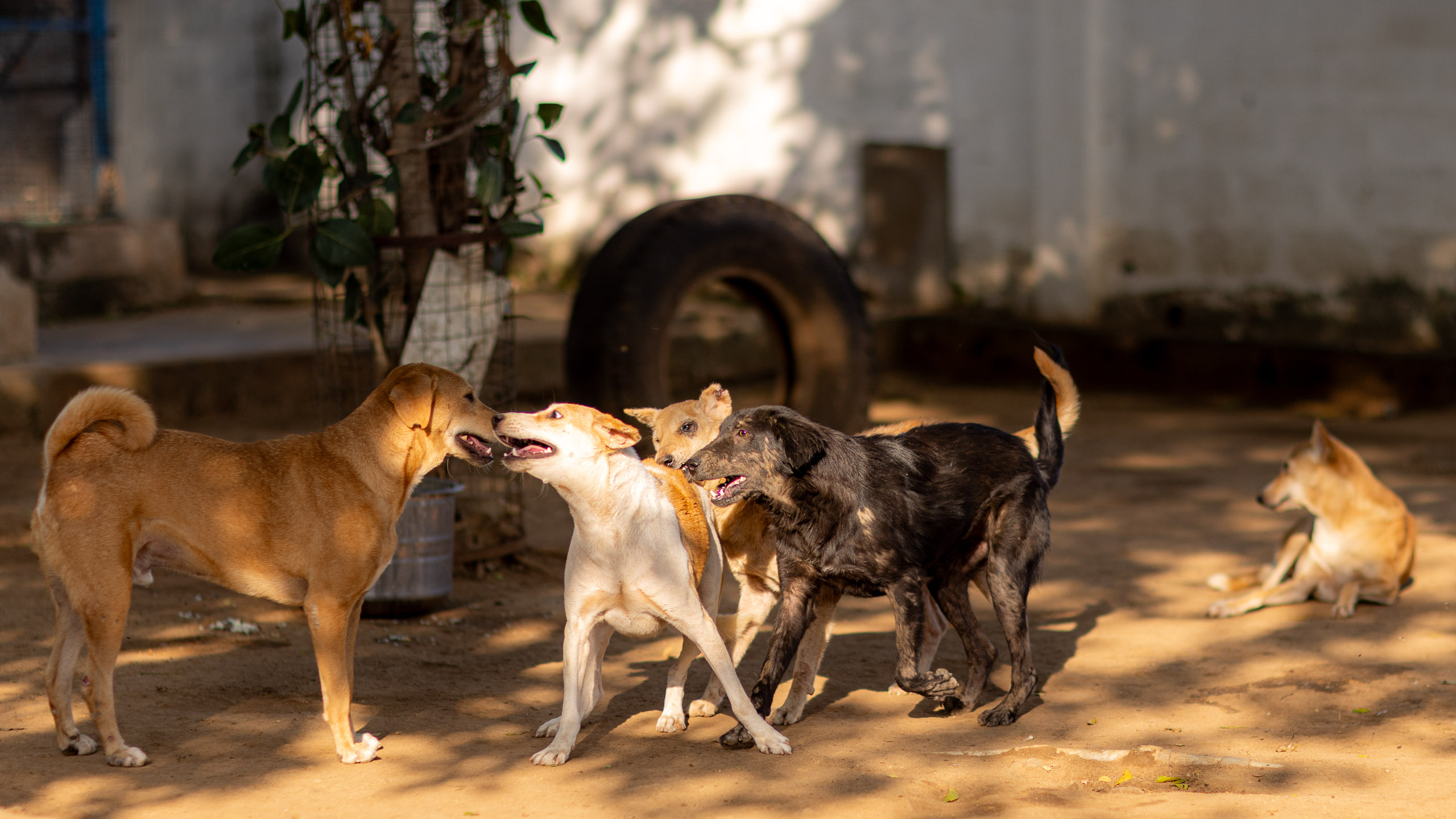 20240121162400 R5D 4382