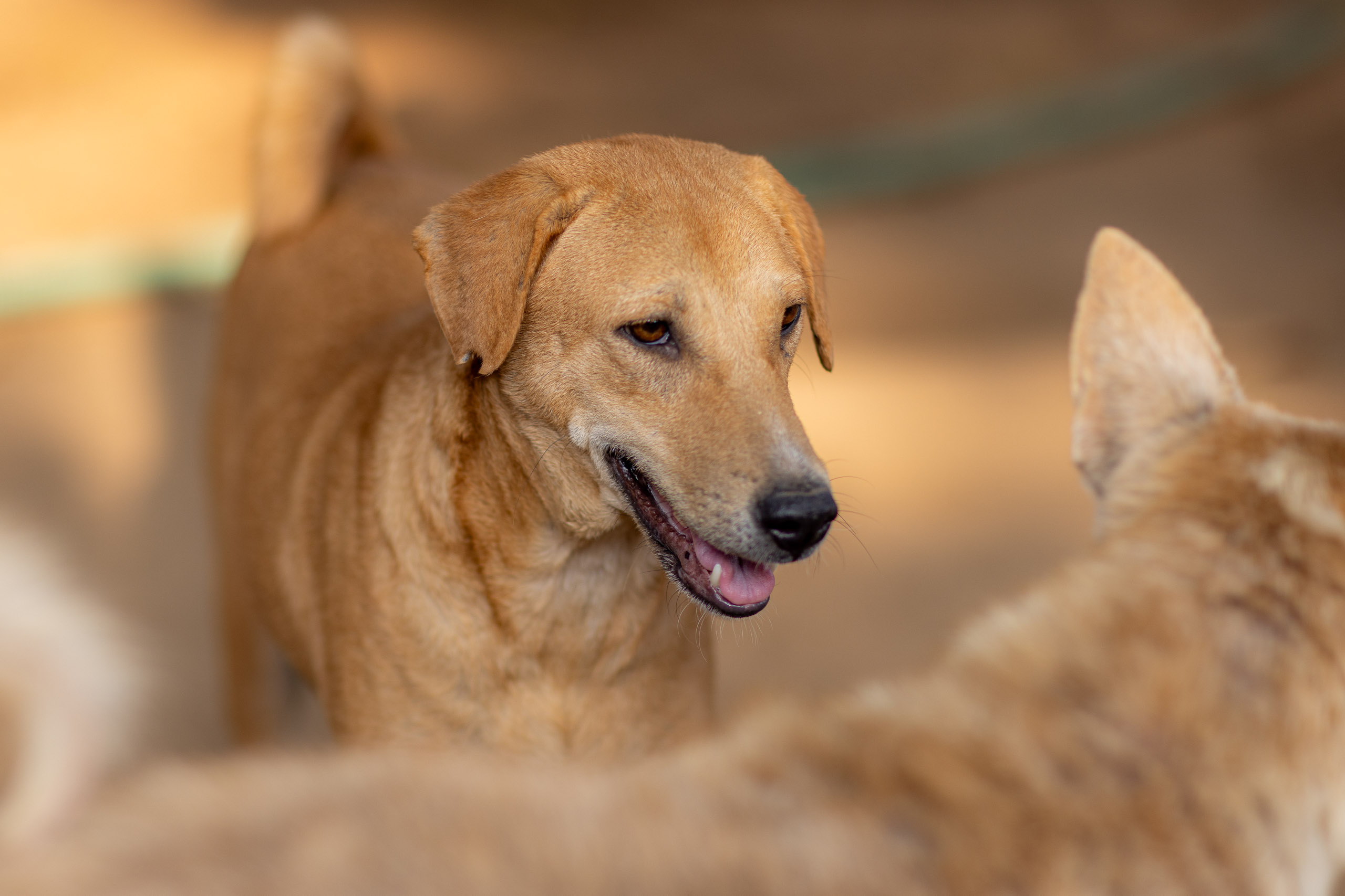 20240121162414 R5D 4392