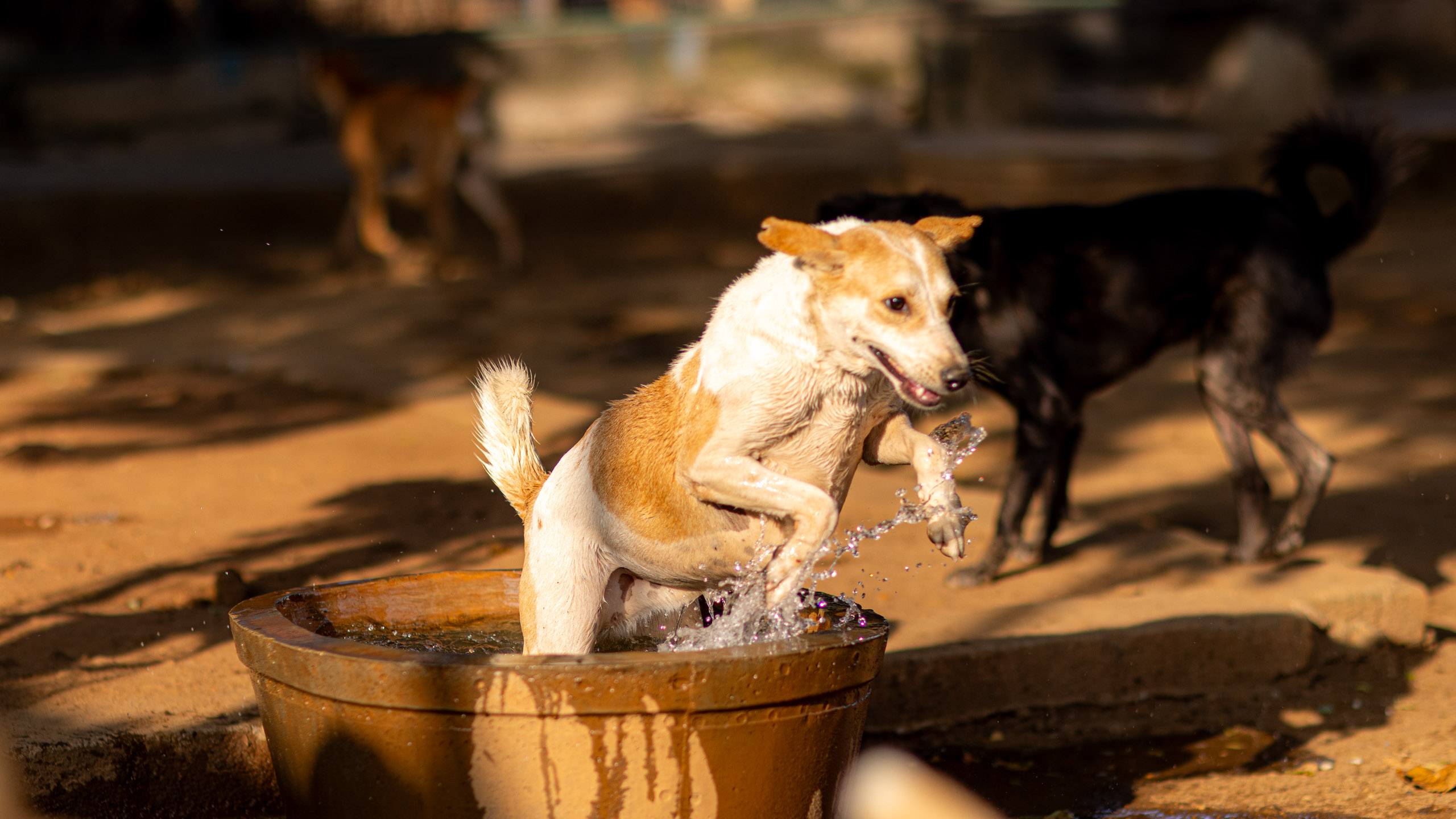 20240121162718 R5D 4481