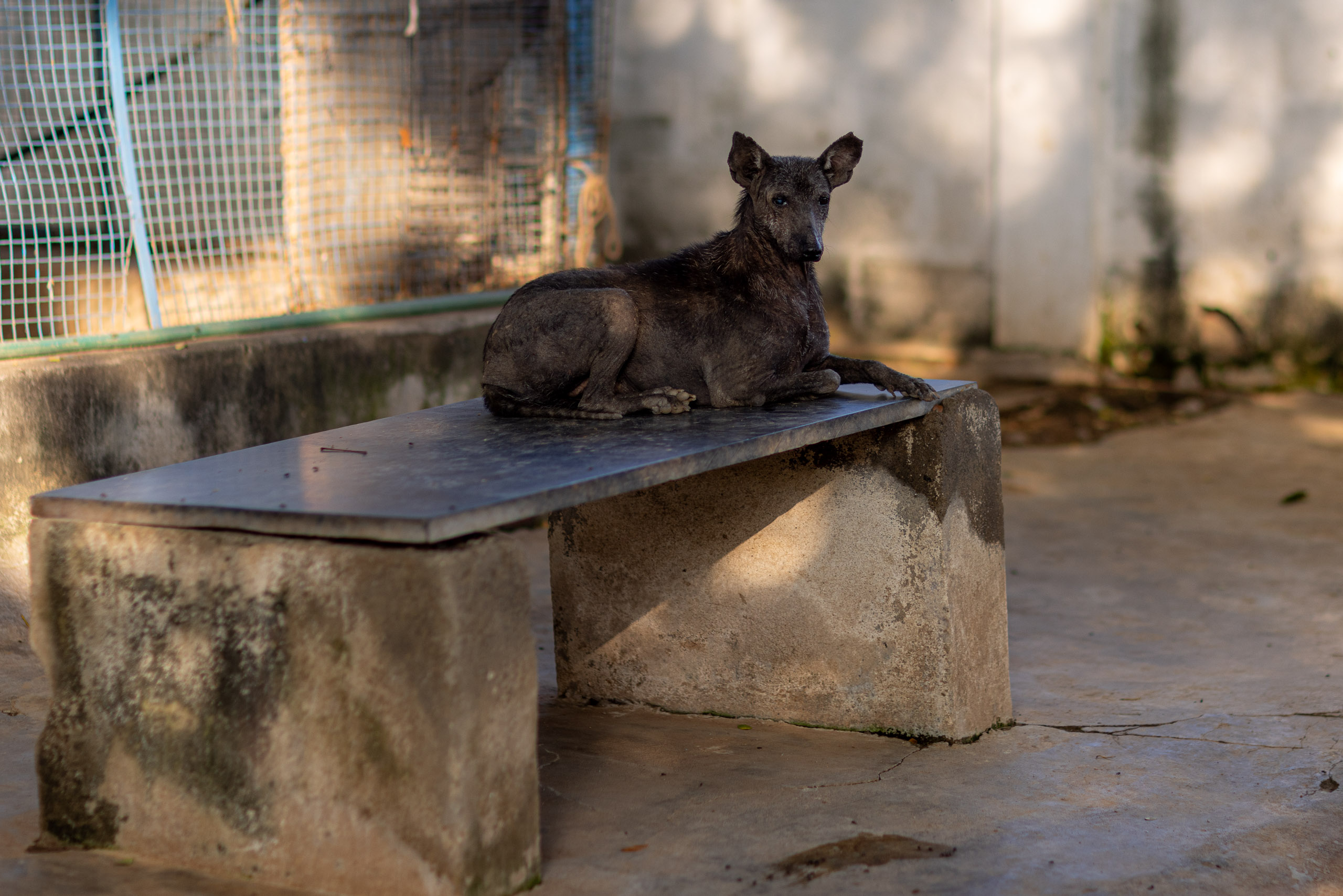 20240121162830 R5D 4485