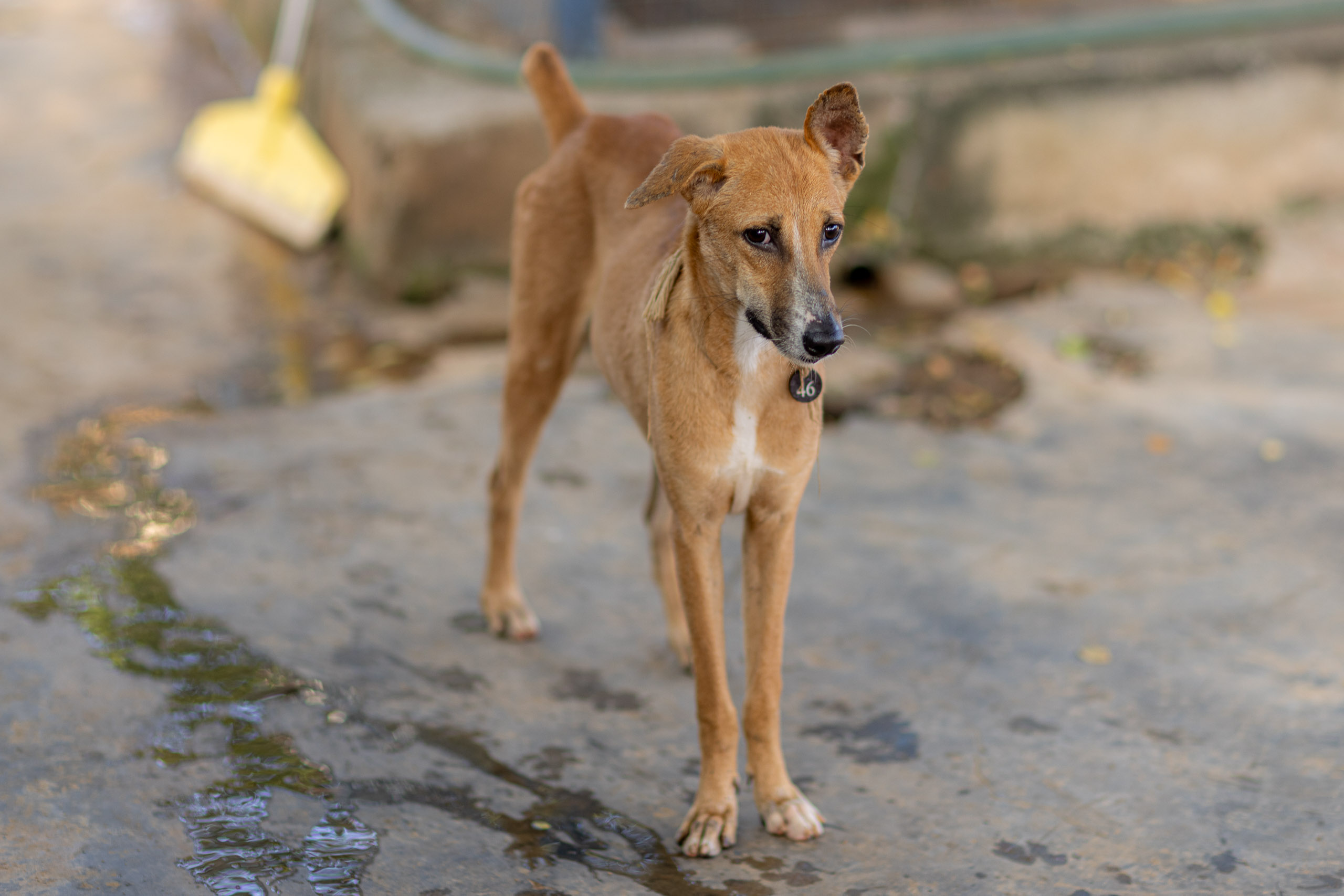 20240121162834 R5D 4487