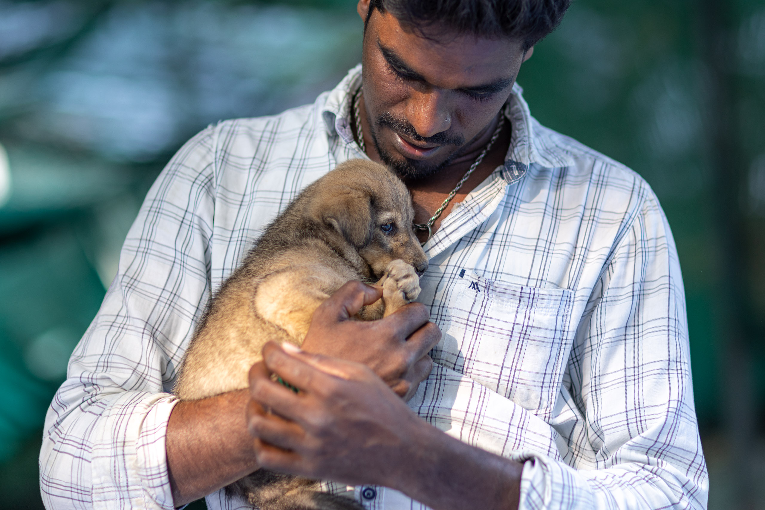 20240121163221 R5D 4548