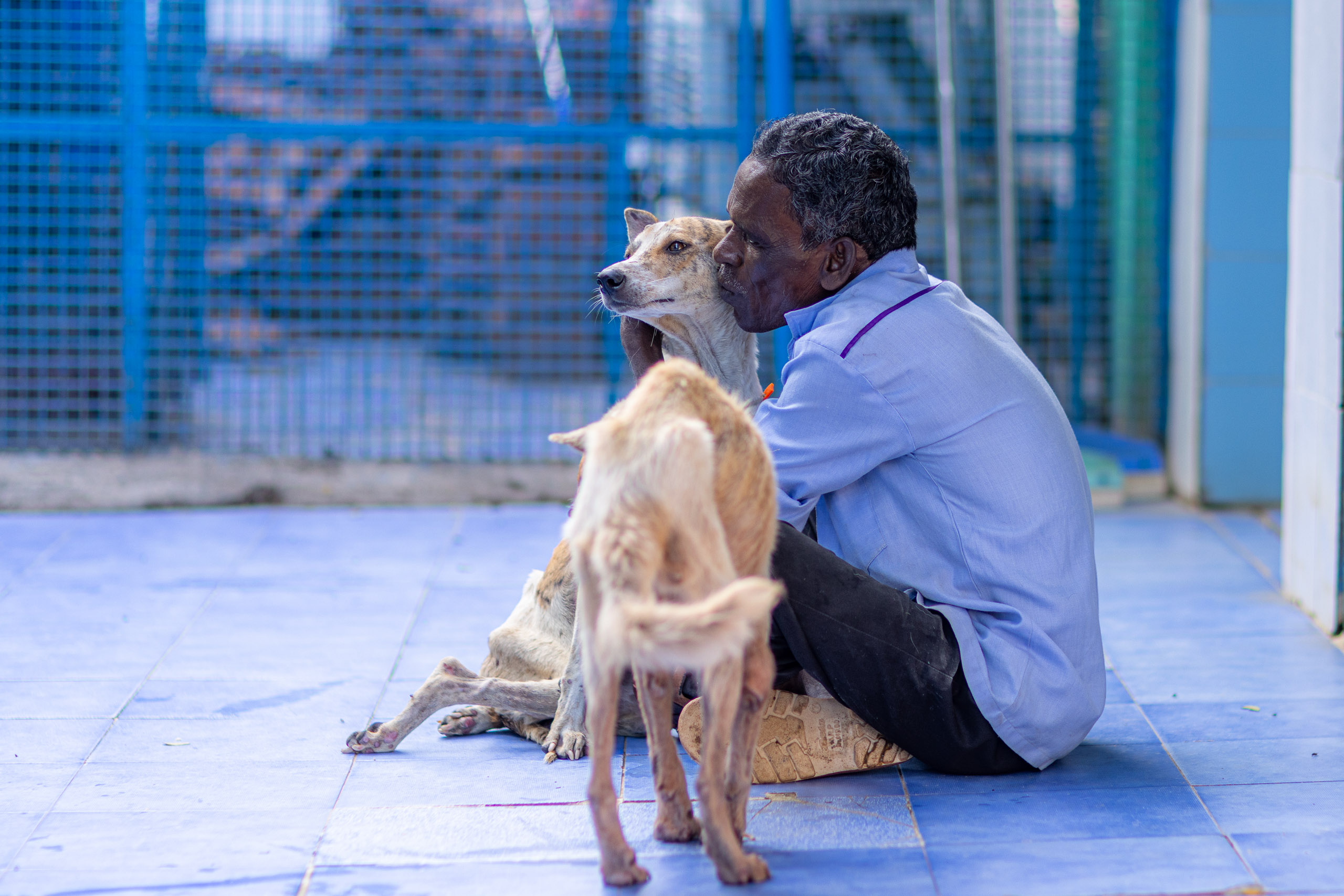 20240121163339 R5D 4572