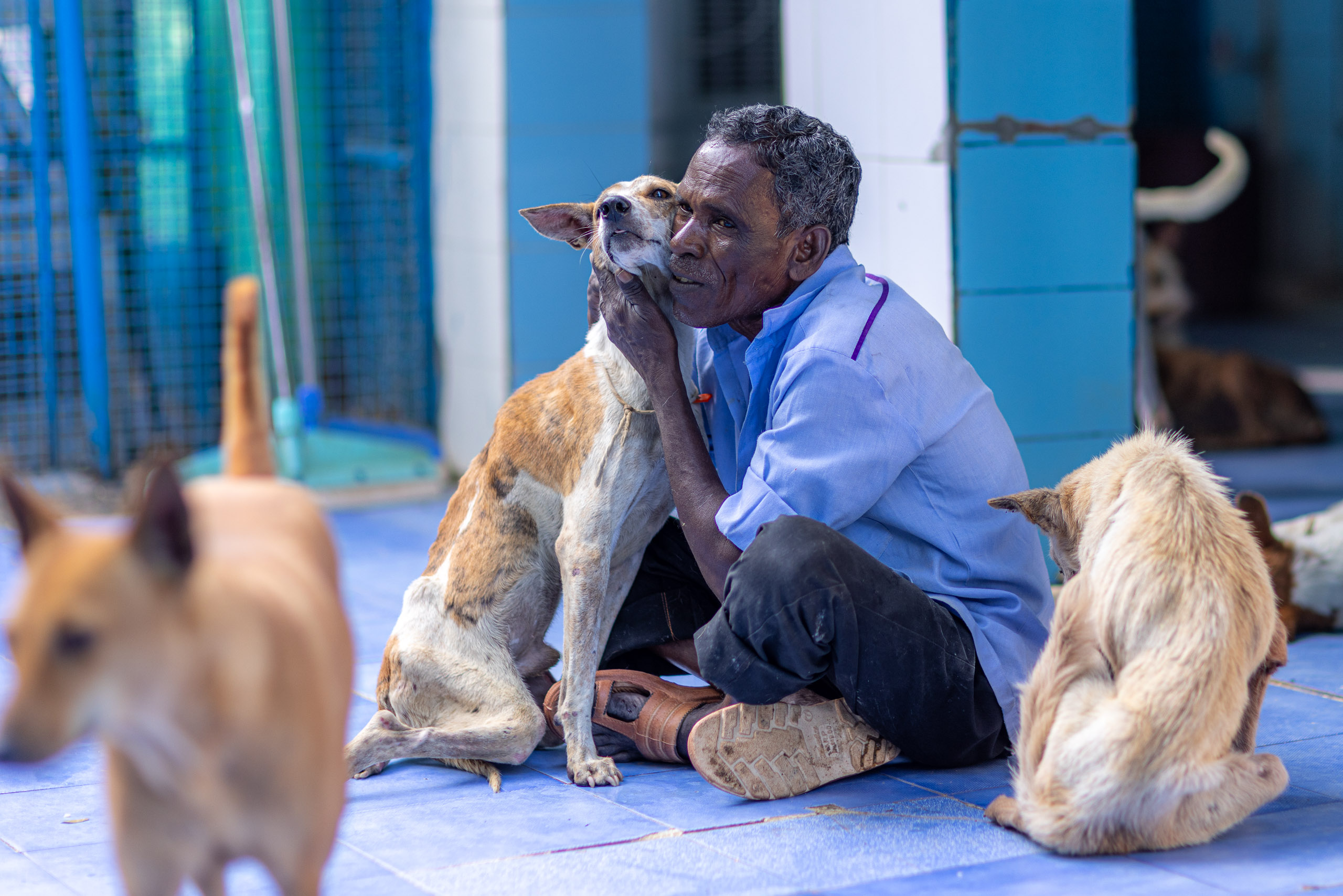 20240121163400 R5D 4598