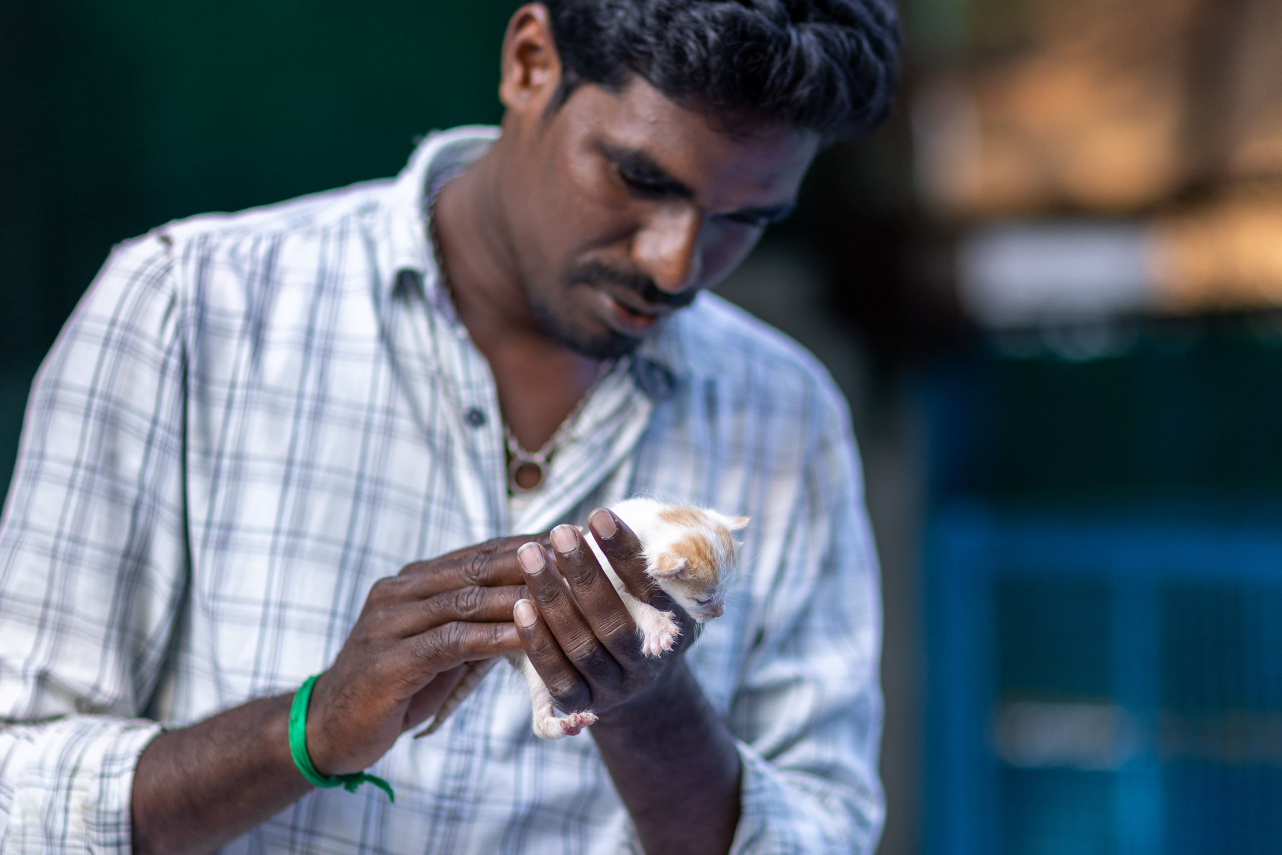 20240121163444 R5D 4611