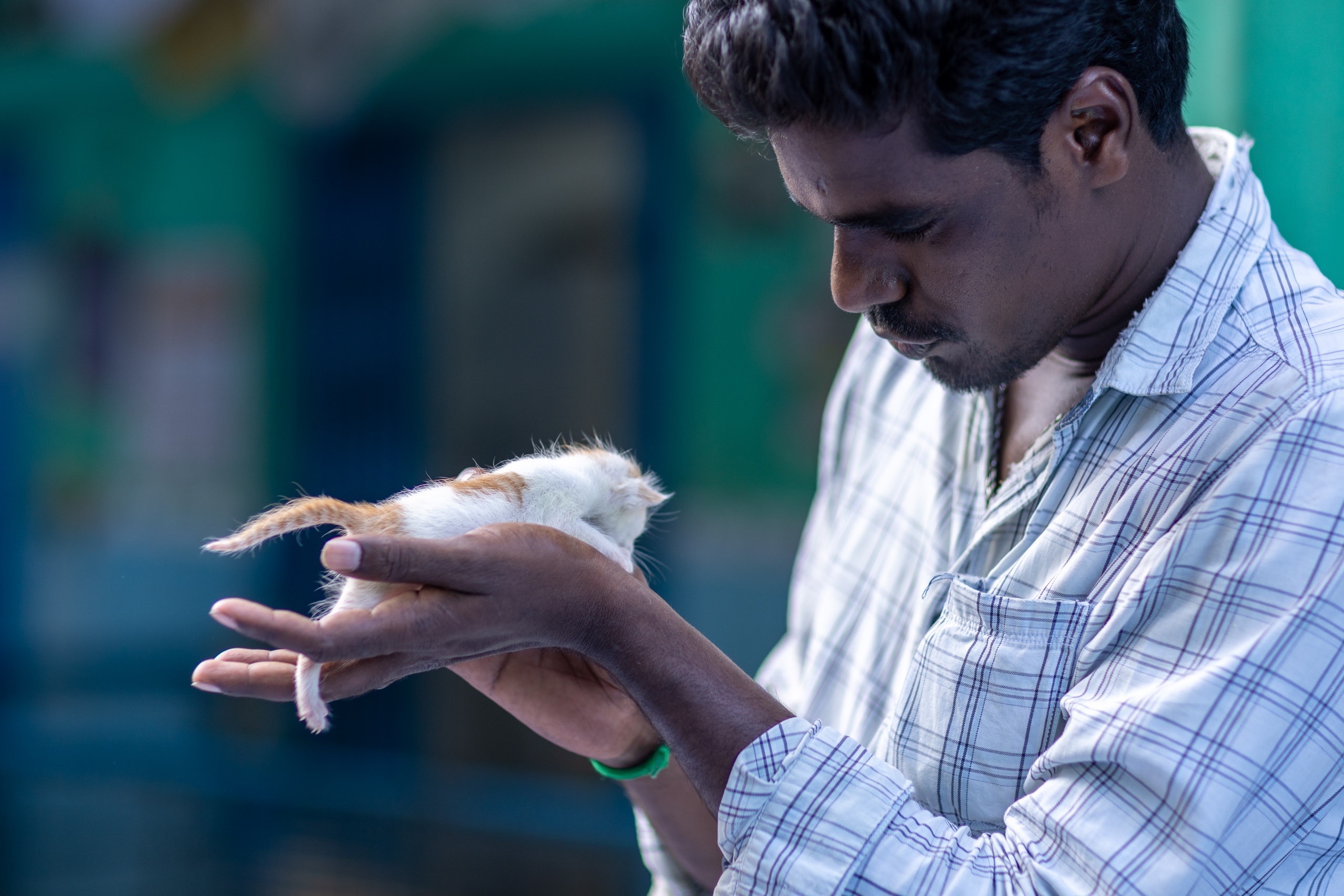 20240121163455 R5D 4618