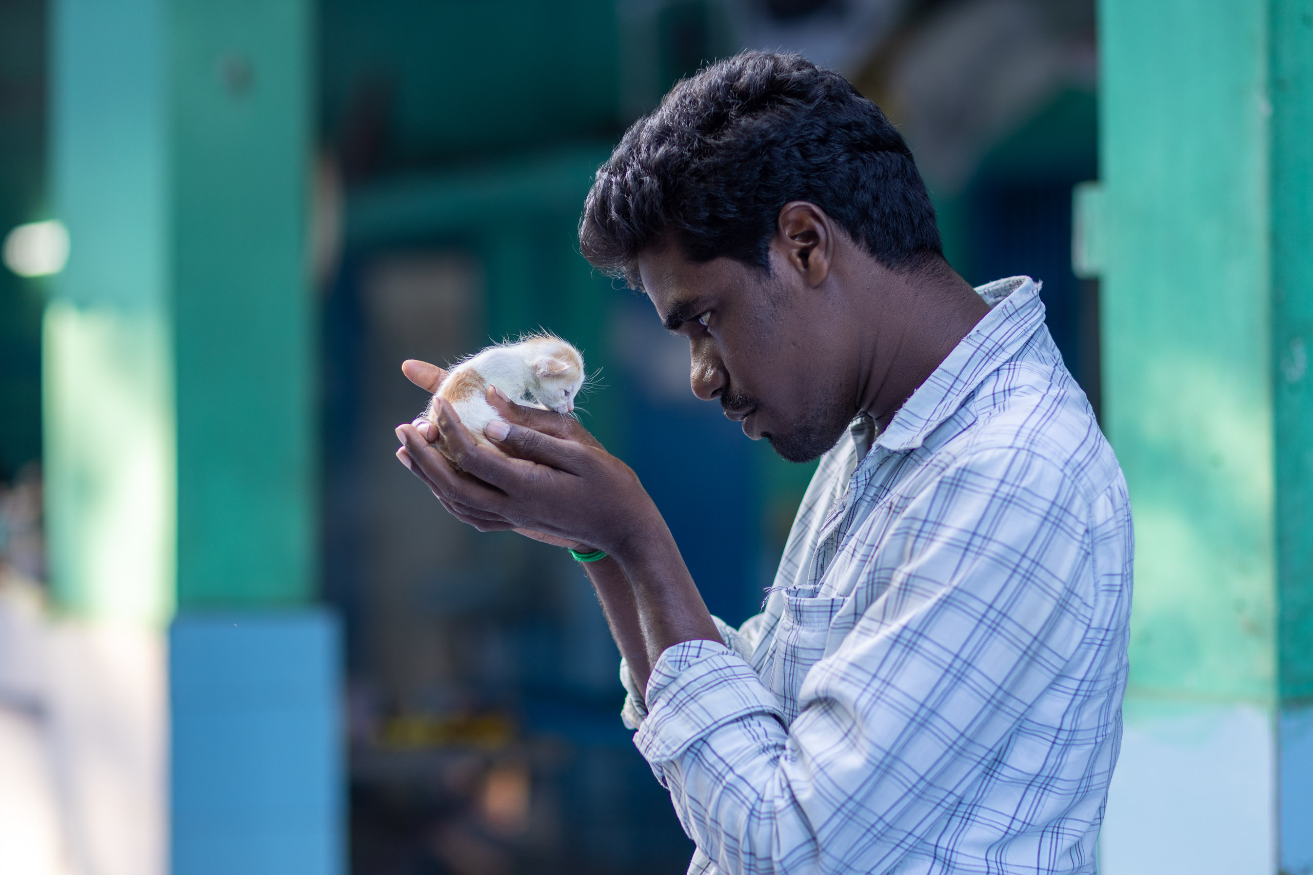 20240121163514 R5D 4633