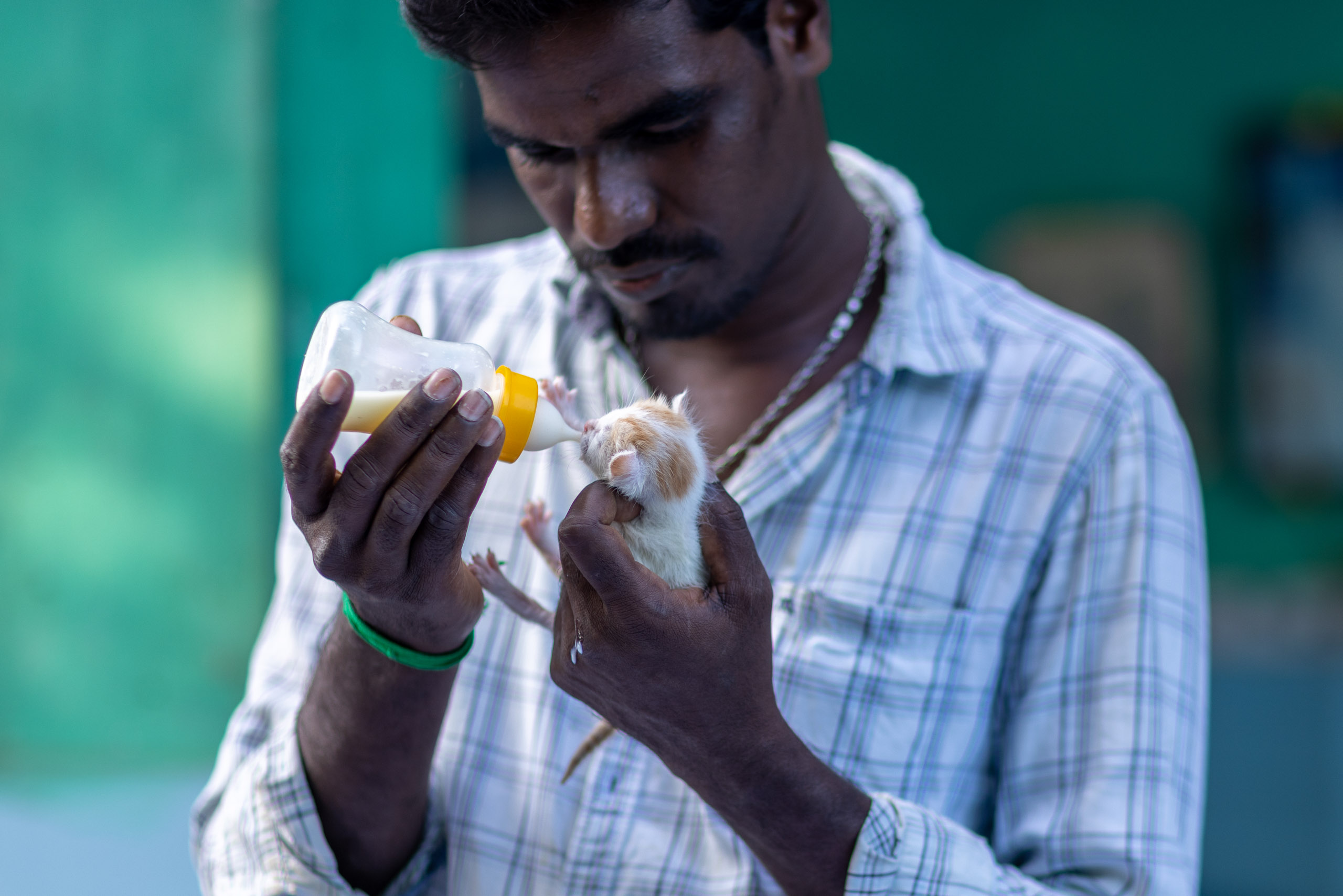 20240121163633 R5D 4650