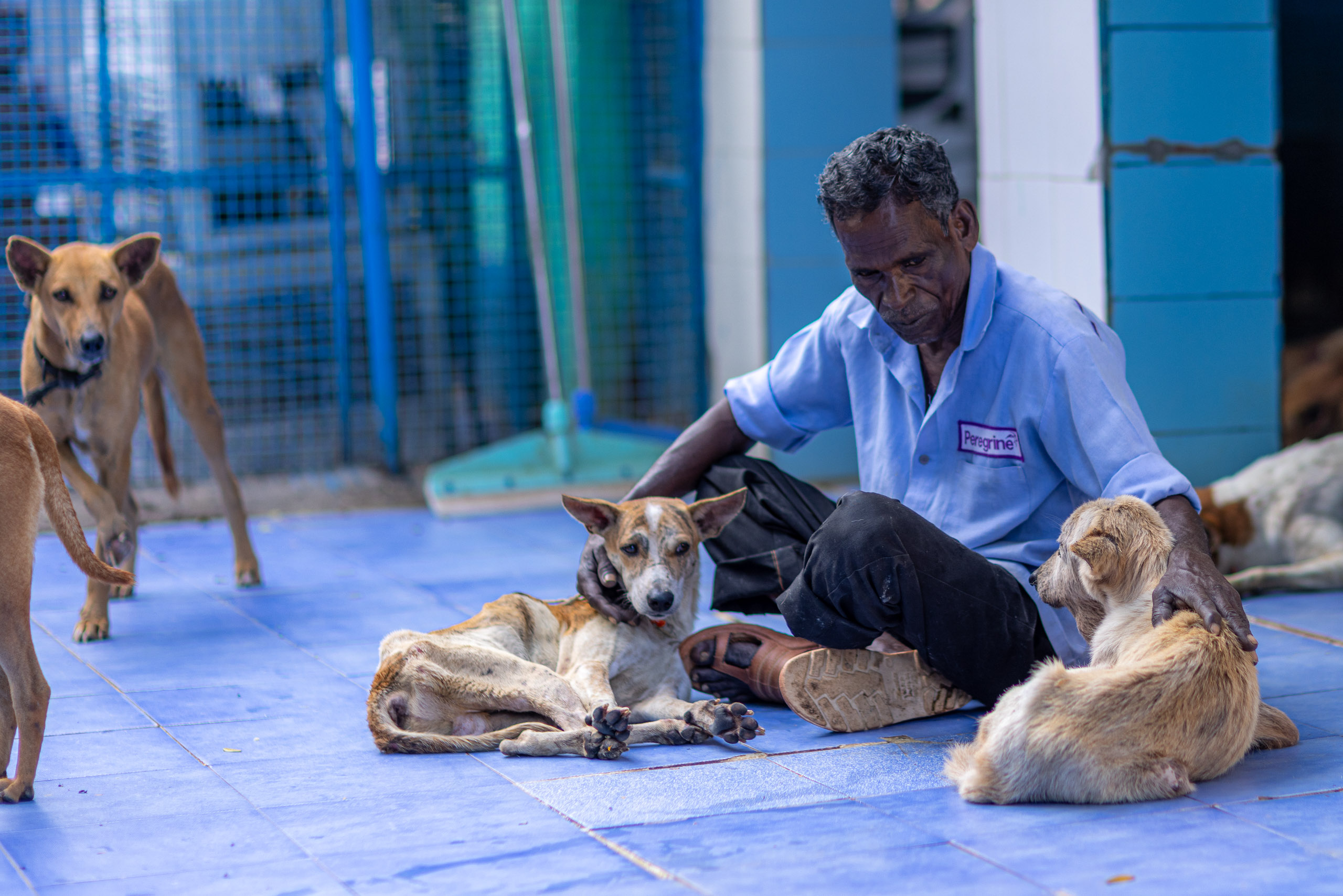 20240121163650 R5D 4664