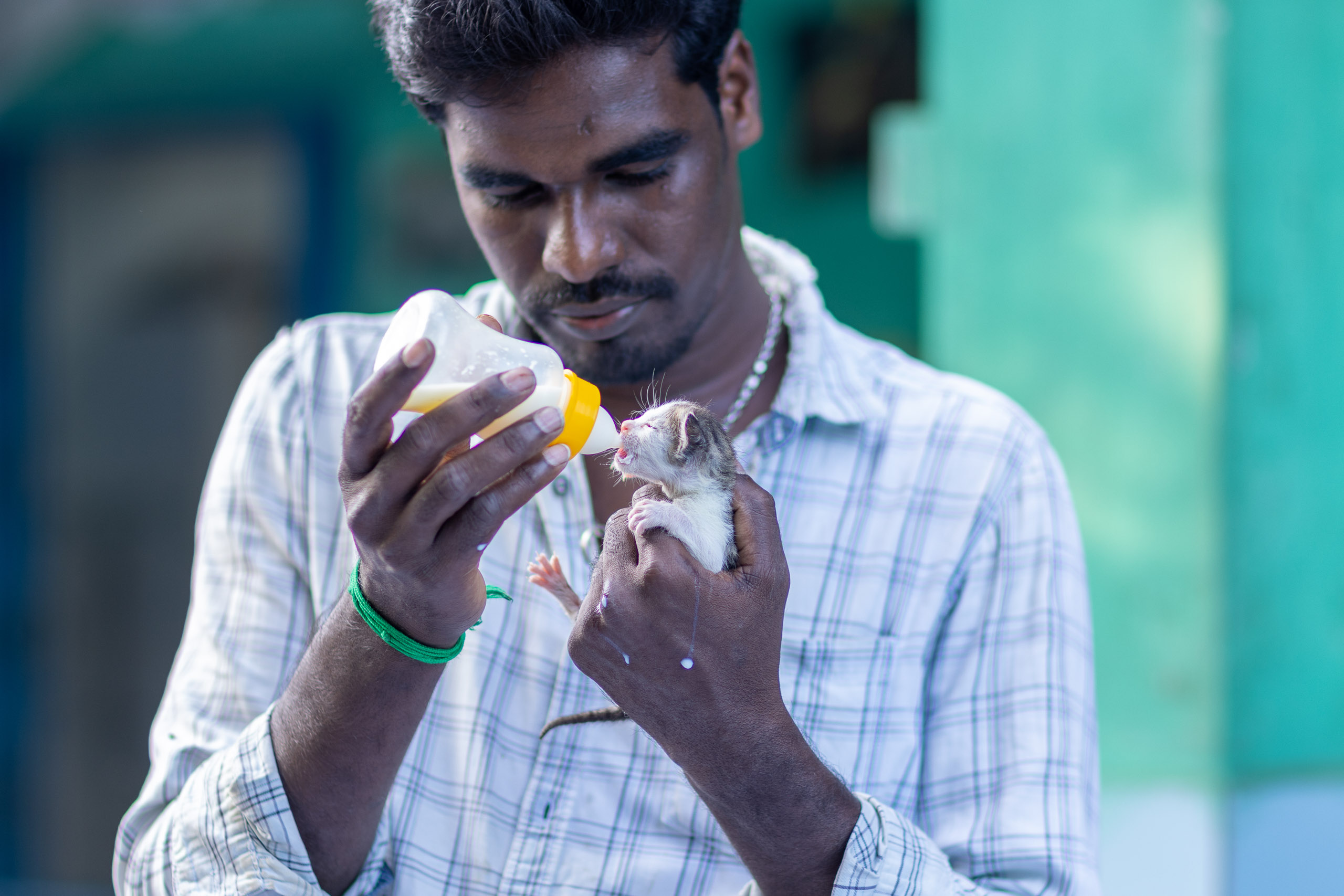 20240121163752 R5D 4685