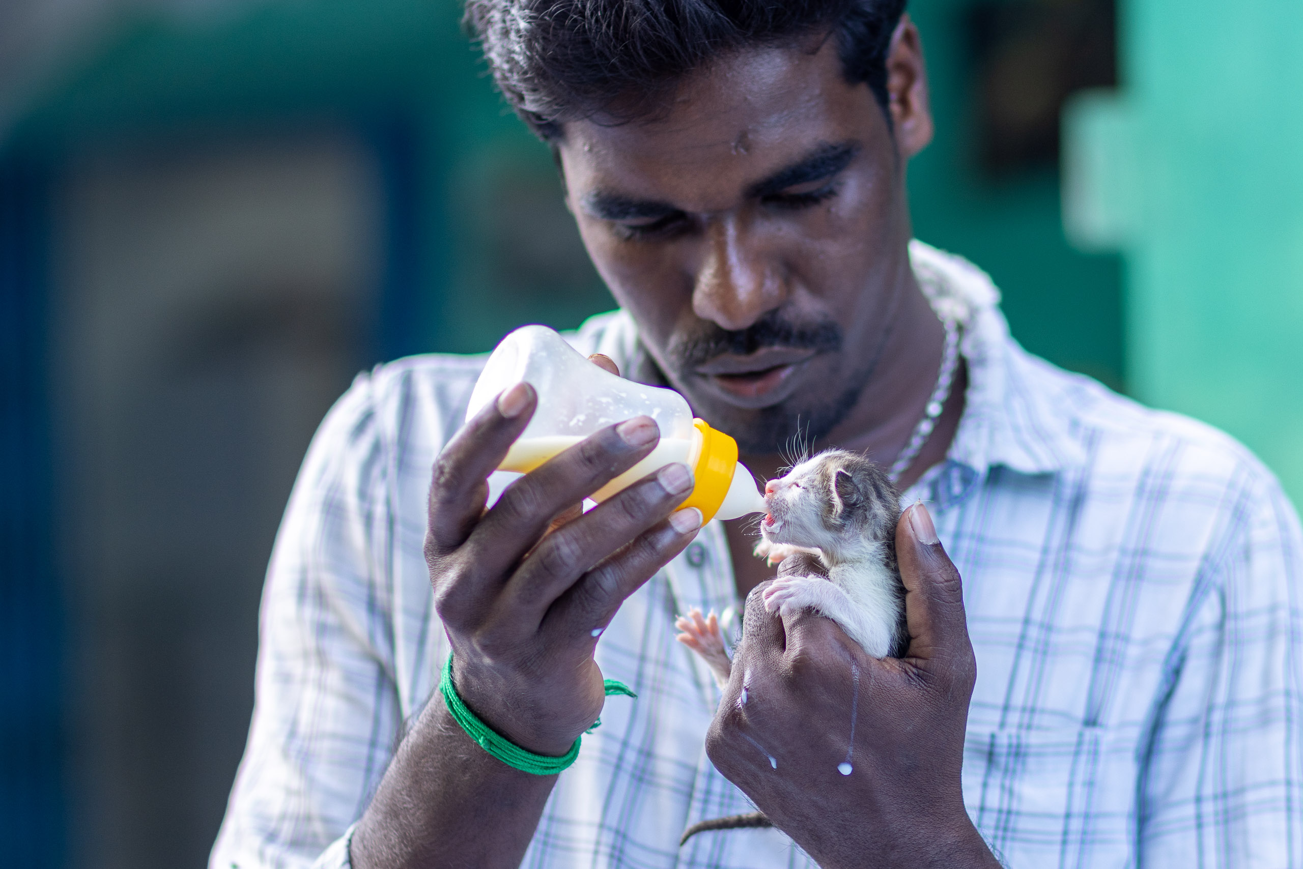 20240121163754 R5D 4688