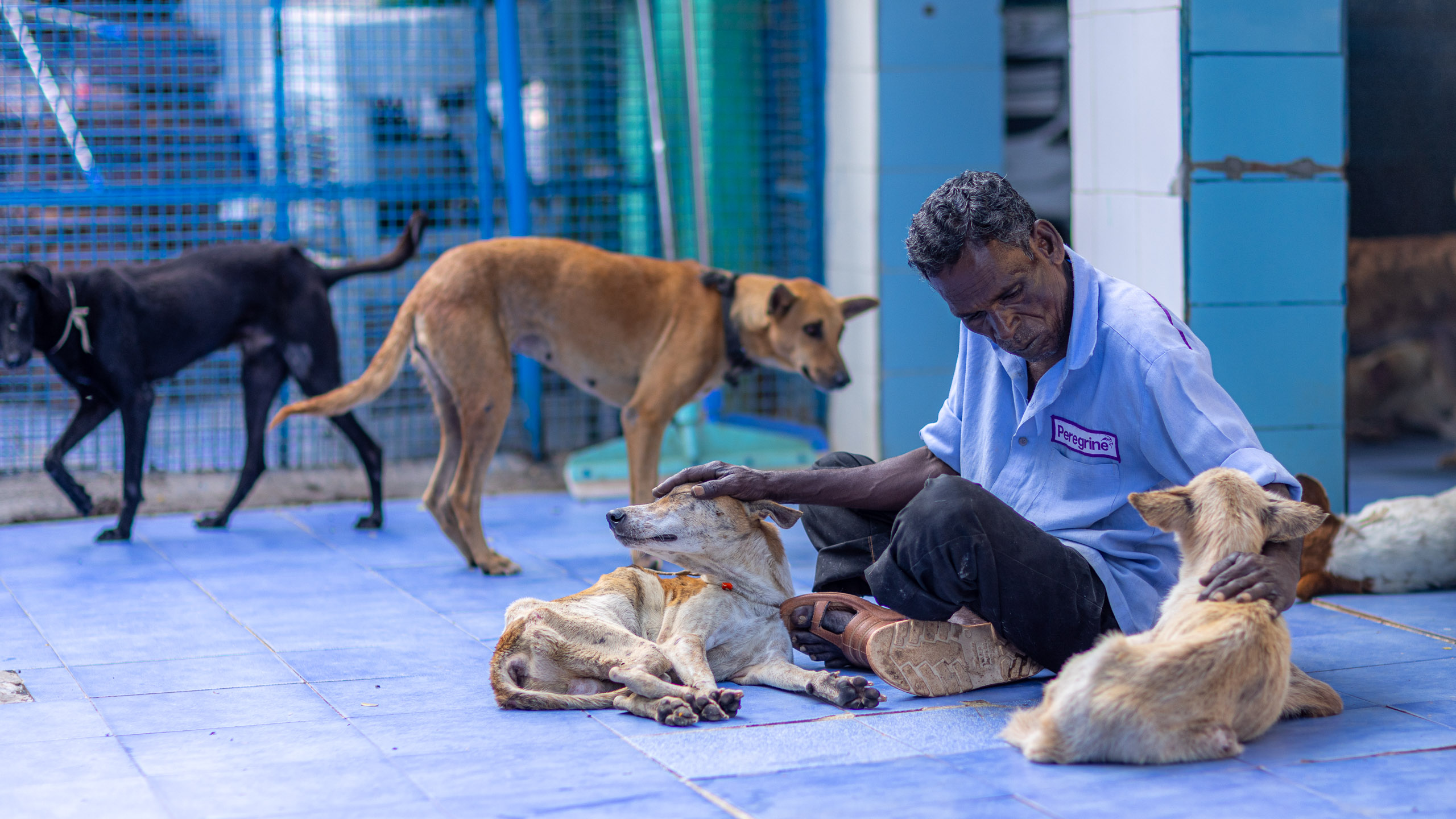 20240121164110 R5D 4710