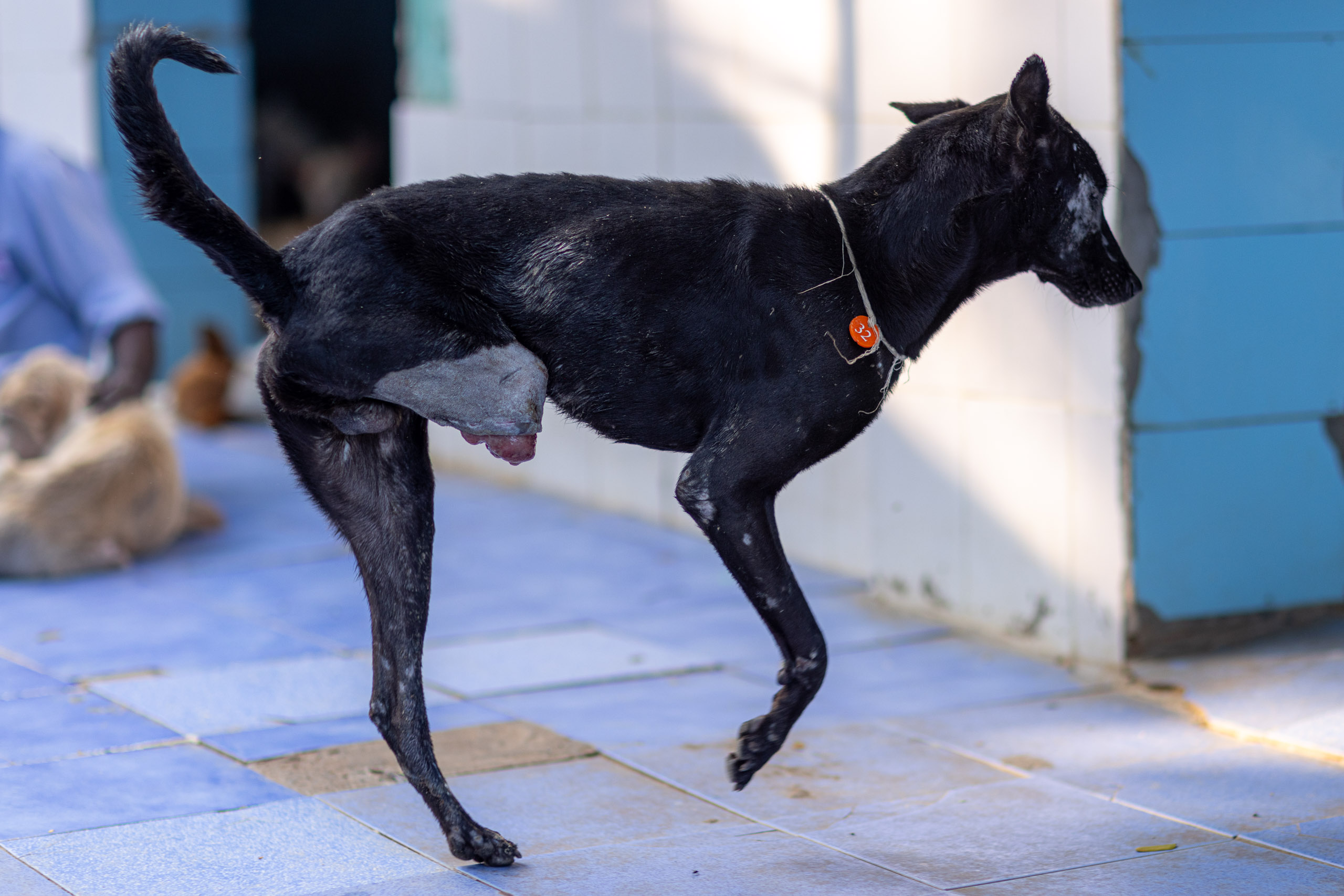 20240121164214 R5D 4734